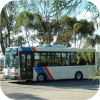 Adelaide Metro small buses